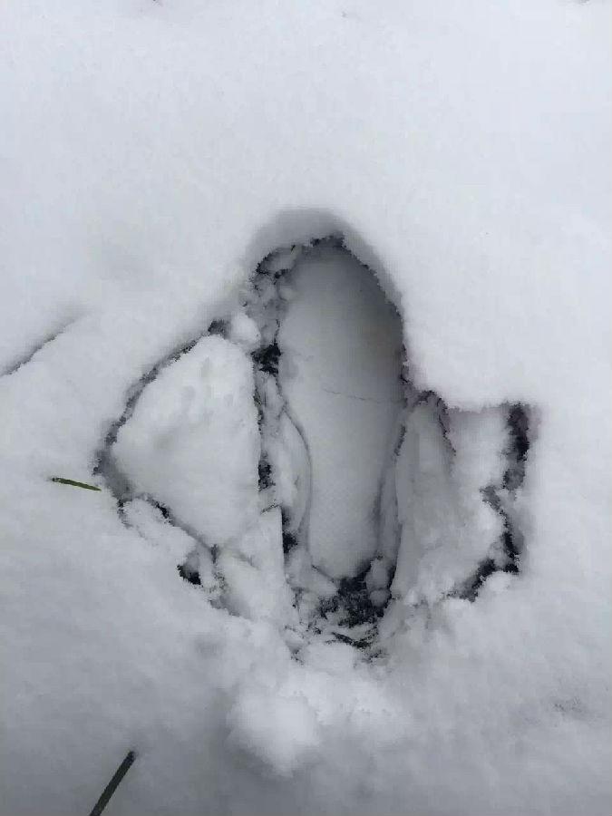 濾油機濾芯_重慶下雪啦